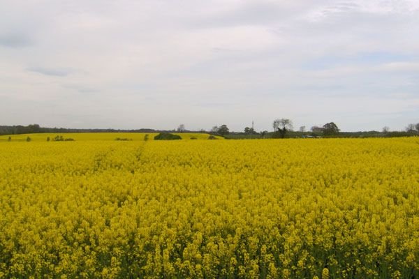 Photograph of West Meadows Local Nature Reserve